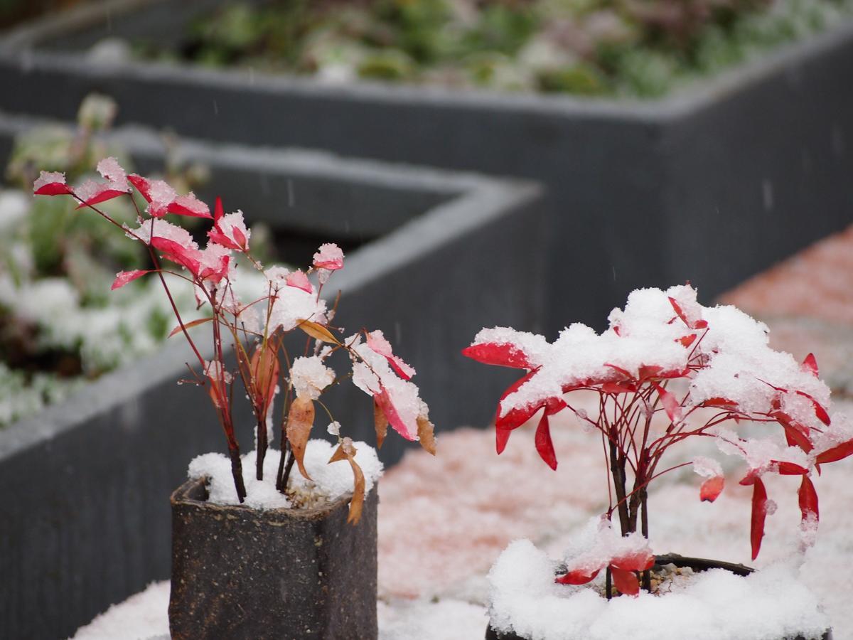 Ubusuna No Sato Tomimoto Ando 외부 사진